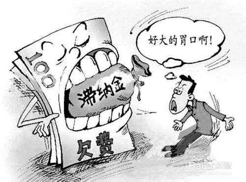 社保滯納金怎么計算? 第1張 社保滯納金怎么計算? 第1張