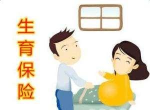 職工參加生育保險可以享受哪些待遇? 第1張 職工參加生育保險可以享受哪些待遇? 第1張